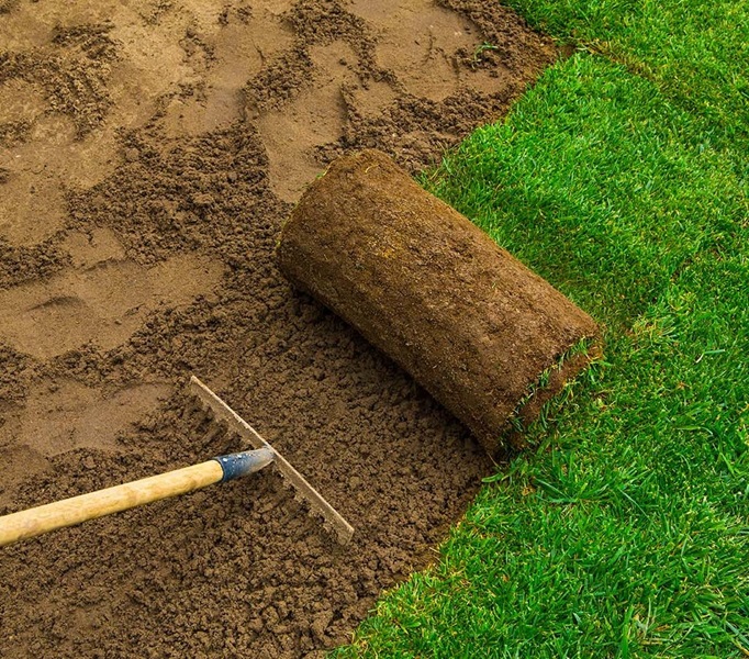 Dublin lawn installation