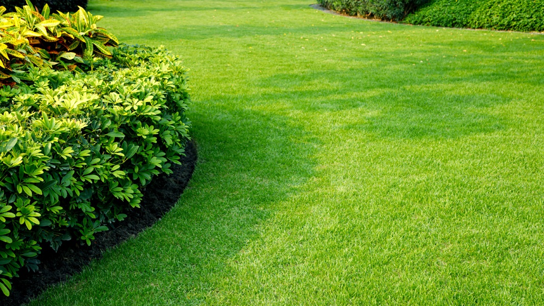 gardening services in Dublin